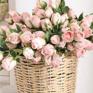 Meet your Posher, Tanya